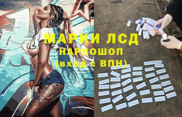 дмт Вяземский