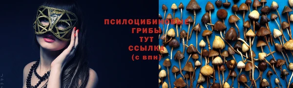 дмт Вяземский