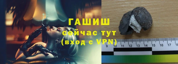 мдпв Туринск
