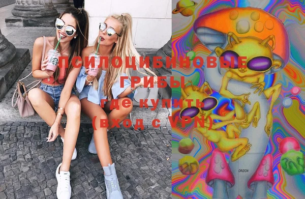 МДПВ Вязники