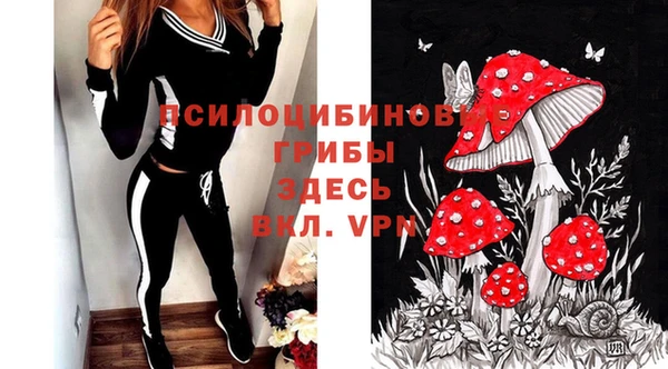 дмт Вяземский