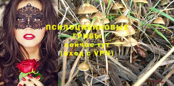дмт Вяземский