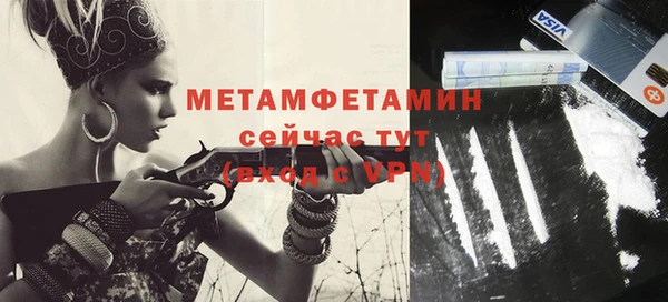 мдпв Туринск