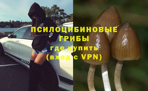МДПВ Вязники