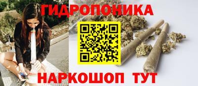 шишки Волгодонск