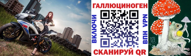 Псилоцибиновые грибы Cubensis  ссылка на мегу рабочий сайт  Горно-Алтайск  купить наркотики цена 