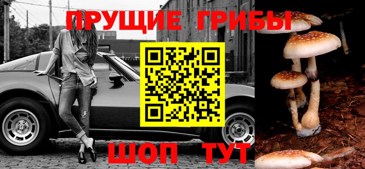 Галлюциногенные грибы мухоморы  Галлюциногенные грибы Cubensis  Горно-Алтайск 