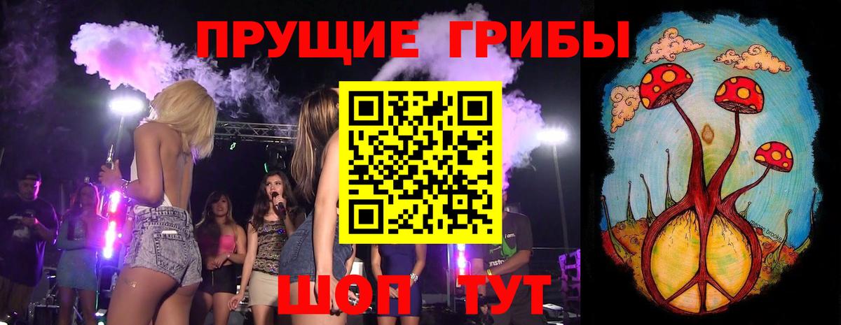 Галлюциногенные грибы Psilocybine cubensis Горно-Алтайск