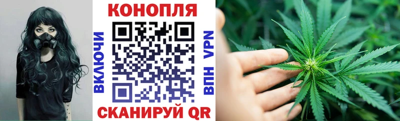 Бошки Шишки марихуана Горно-Алтайск